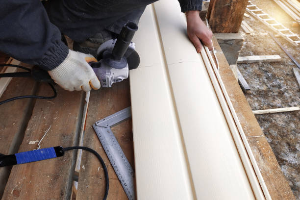Best Fascia and Soffit Installation  in Livingston, TN