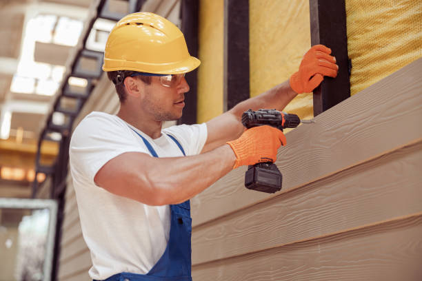 Best Siding Replacement  in Livingston, TN
